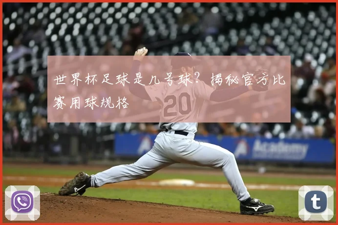 世界杯足球是几号球？揭秘官方比赛用球规格