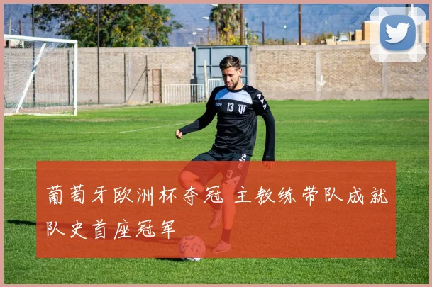 葡萄牙欧洲杯夺冠 主教练带队成就队史首座冠军