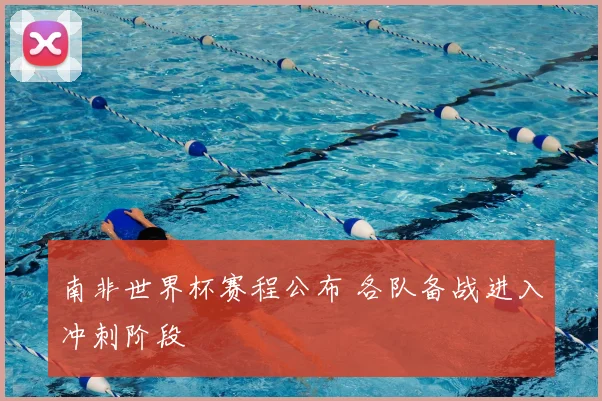 南非世界杯赛程公布 各队备战进入冲刺阶段