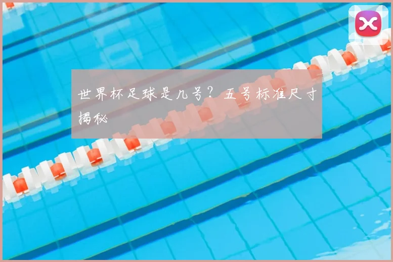 世界杯足球是几号？五号标准尺寸揭秘
