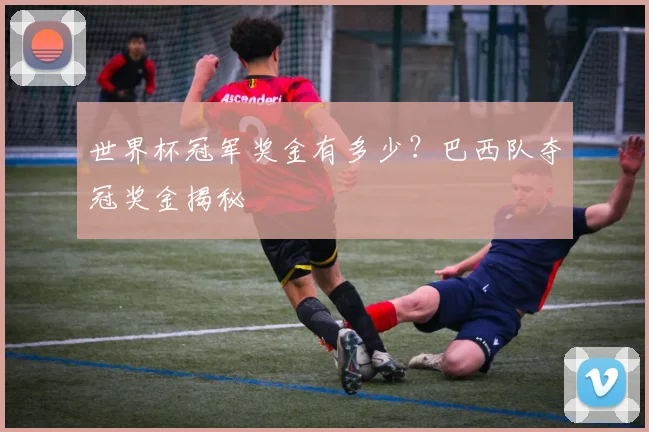 世界杯冠军奖金有多少？巴西队夺冠奖金揭秘