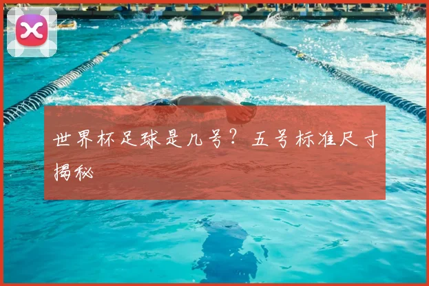 世界杯足球是几号？五号标准尺寸揭秘
