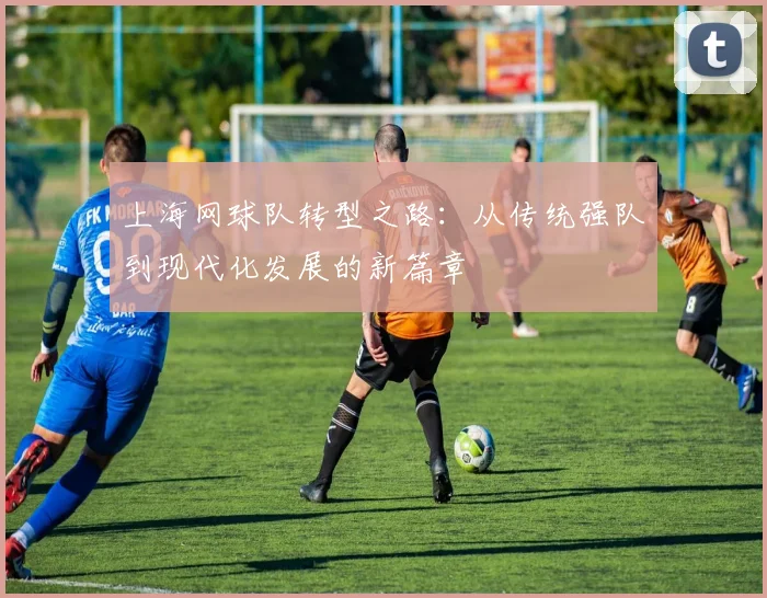 上海网球队转型之路：从传统强队到现代化发展的新篇章