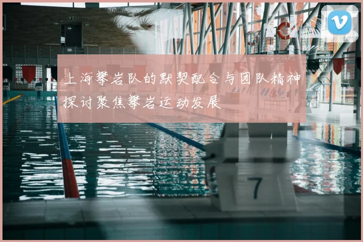 上海攀岩队的默契配合与团队精神探讨聚焦攀岩运动发展