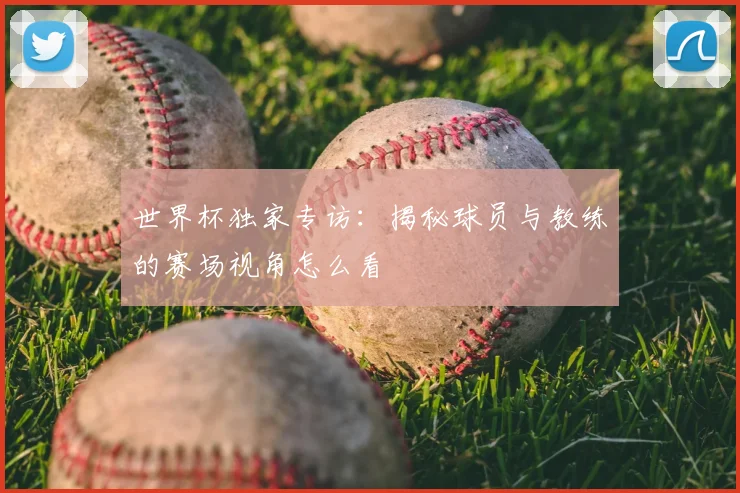 世界杯独家专访：揭秘球员与教练的赛场视角怎么看