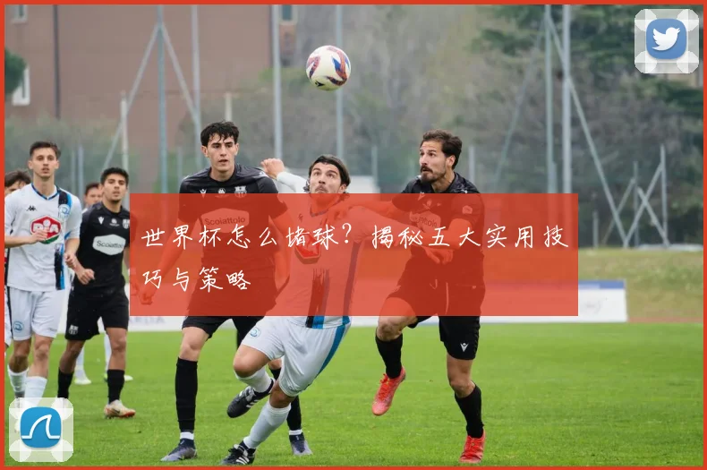 世界杯怎么堵球？揭秘五大实用技巧与策略