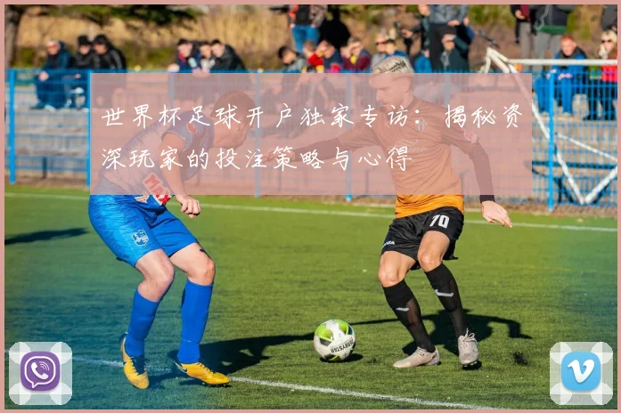 世界杯足球开户独家专访：揭秘资深玩家的投注策略与心得