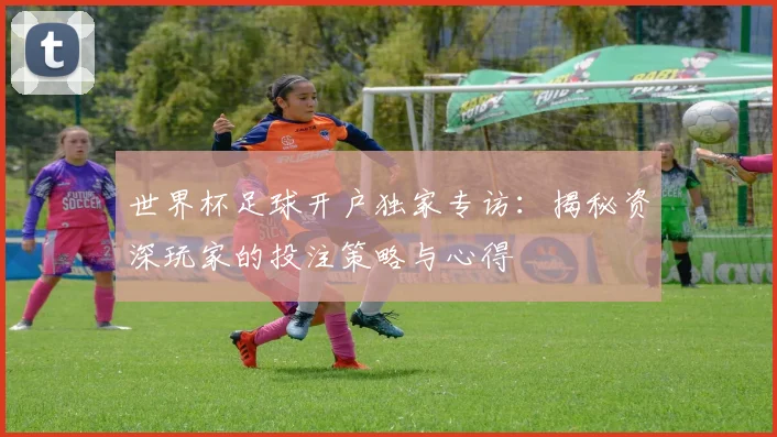 世界杯足球开户独家专访：揭秘资深玩家的投注策略与心得