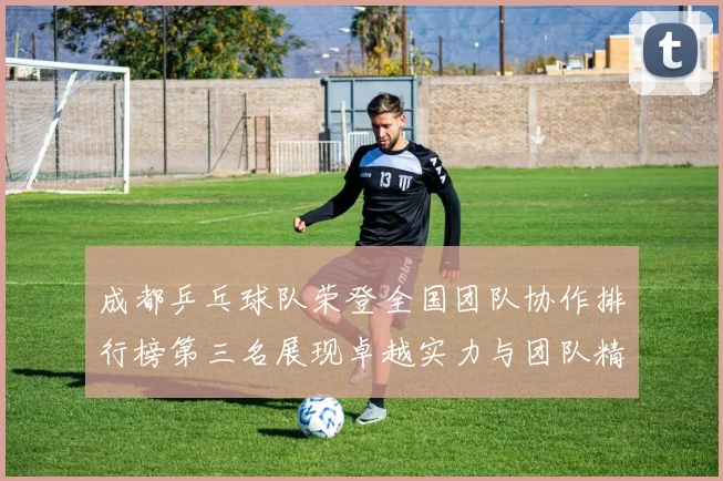 成都乒乓球队荣登全国团队协作排行榜第三名展现卓越实力与团队精神