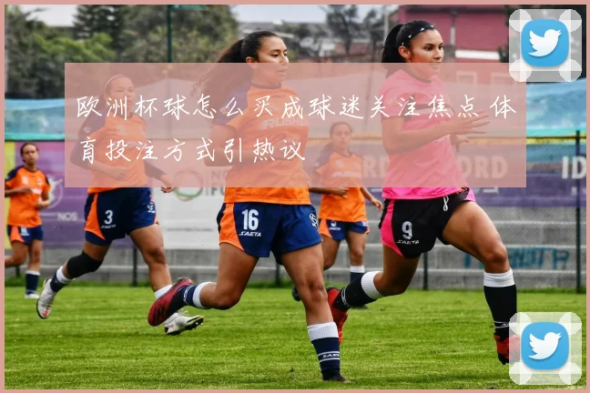 欧洲杯球怎么买成球迷关注焦点 体育投注方式引热议