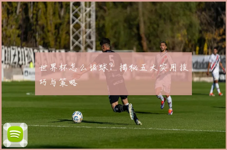 世界杯怎么堵球？揭秘五大实用技巧与策略