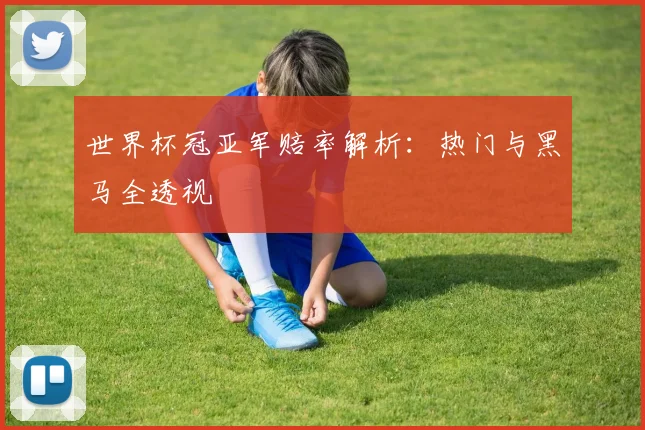 世界杯冠亚军赔率解析：热门与黑马全透视