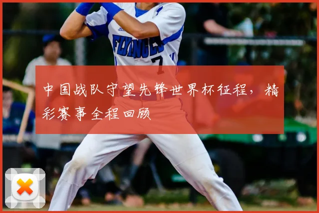 中国战队守望先锋世界杯征程，精彩赛事全程回顾