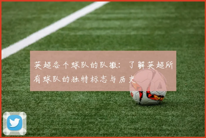 英超各个球队的队徽：了解英超所有球队的独特标志与历史