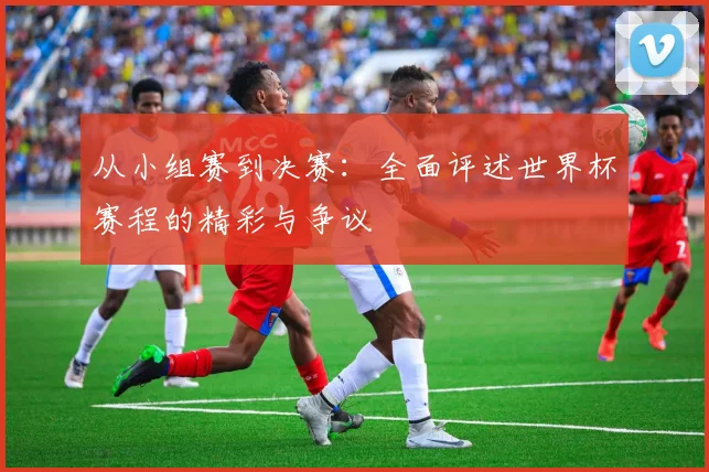 从小组赛到决赛：全面评述世界杯赛程的精彩与争议
