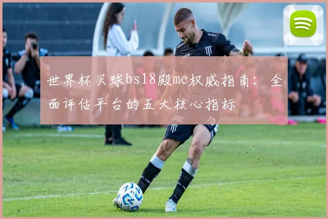 世界杯买球bs18殿me权威指南：全面评估平台的五大核心指标
