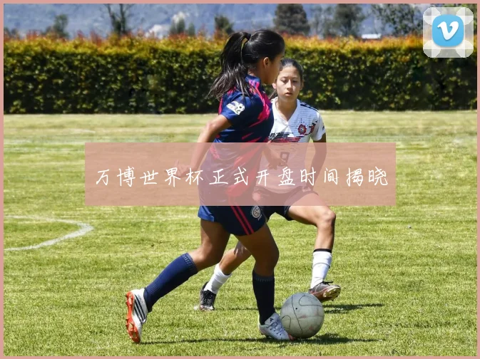 万博世界杯正式开盘时间揭晓