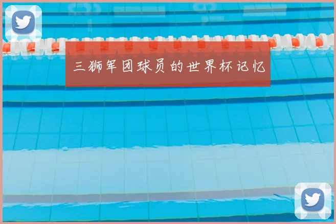 三狮军团球员的世界杯记忆